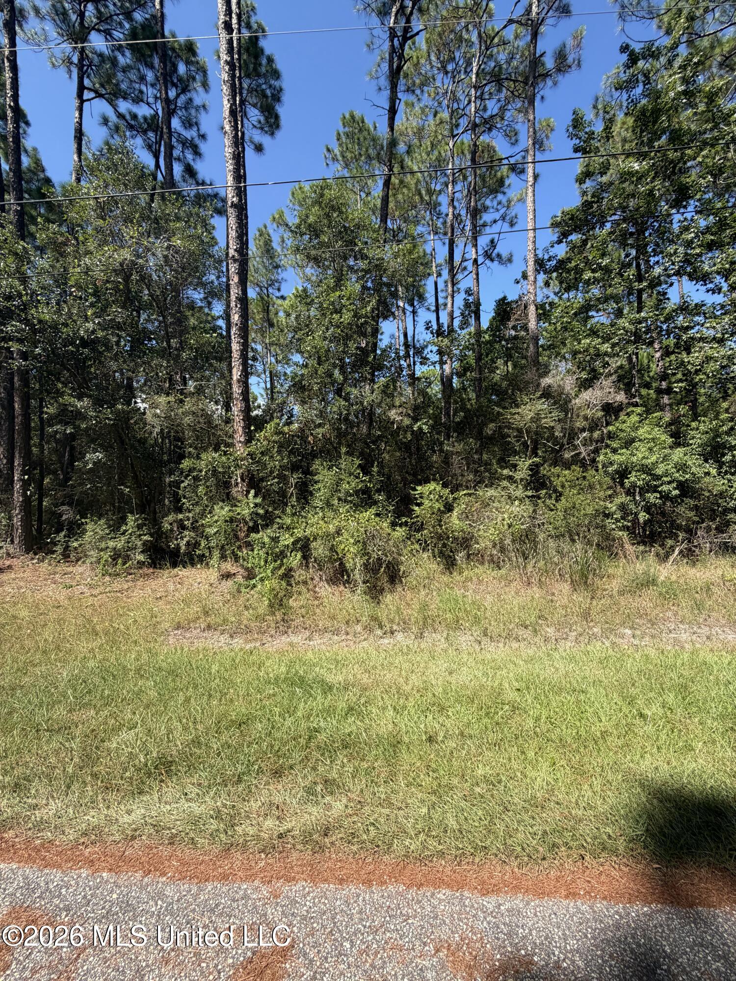 Holly Point Property Photo 2