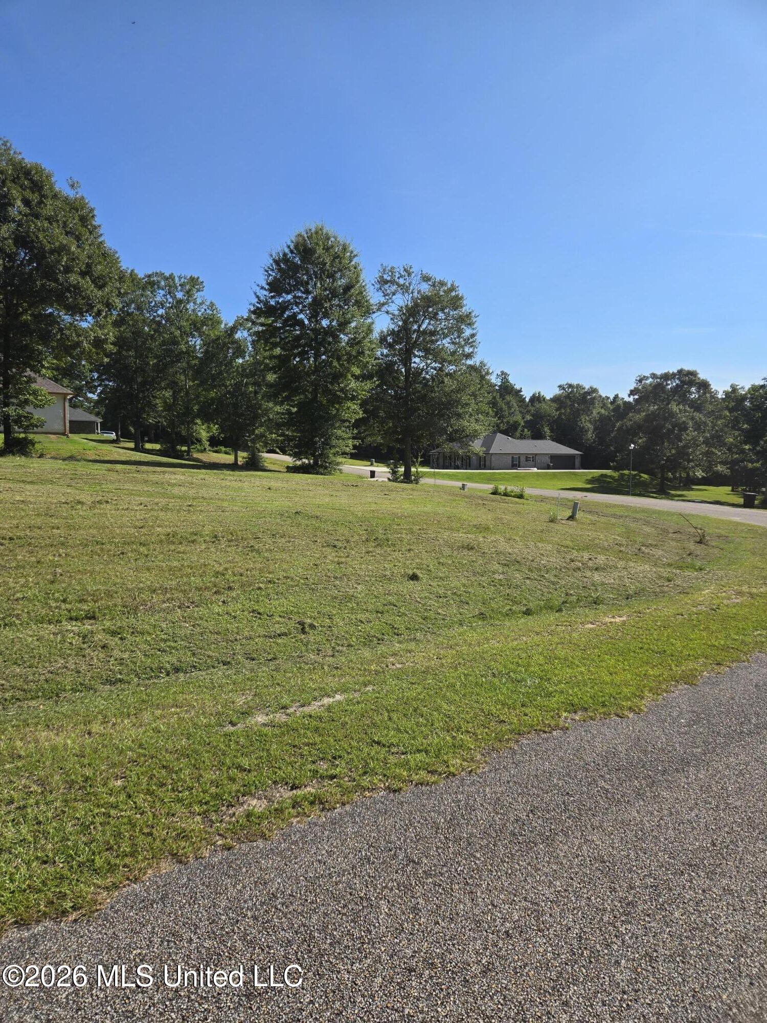 17 Forrest View Drive Property Photo 10