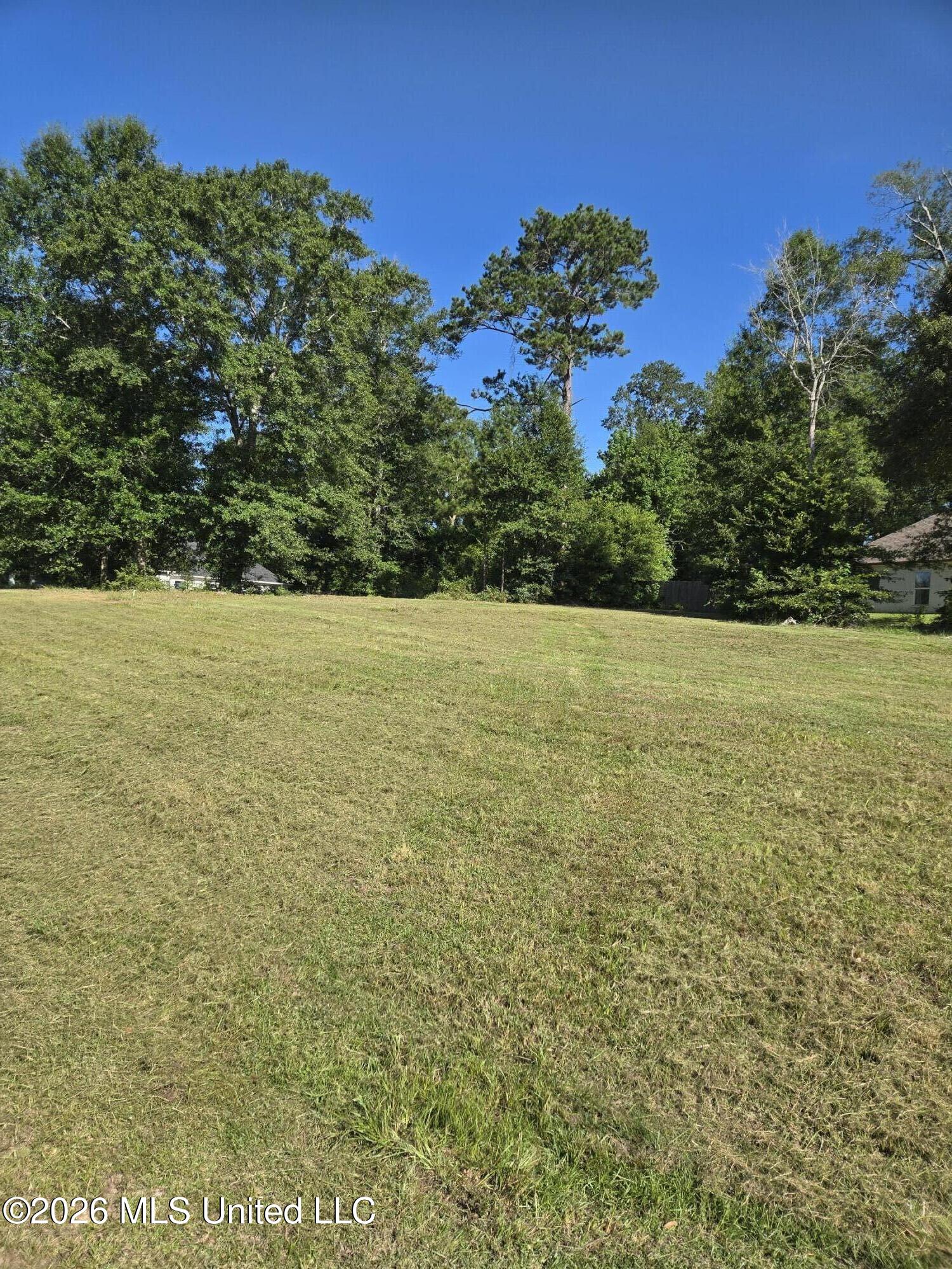 17 Forrest View Drive Property Photo 11