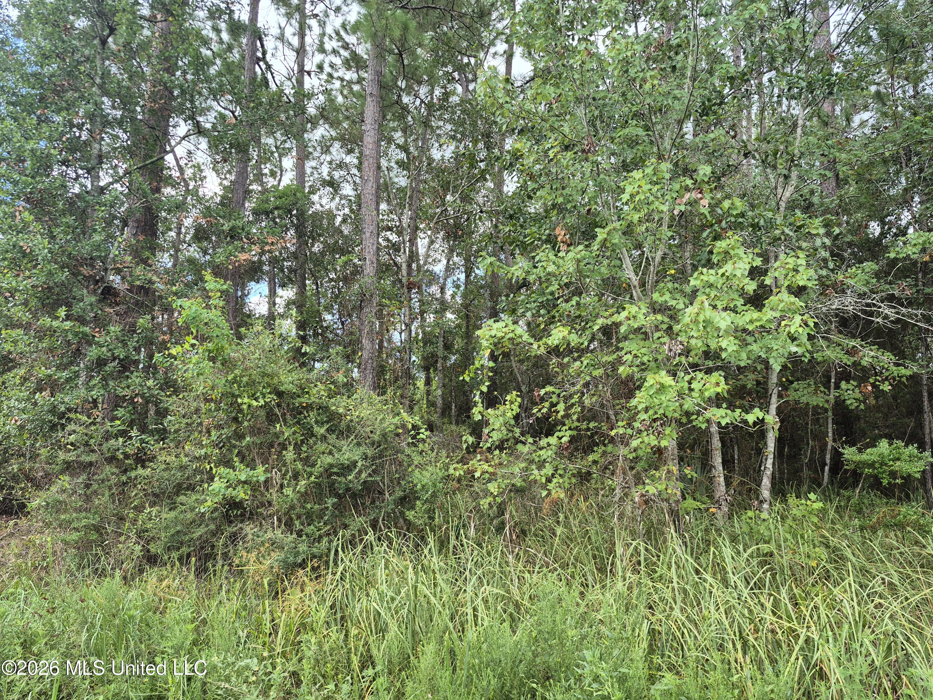 Onega Street Property Photo 1