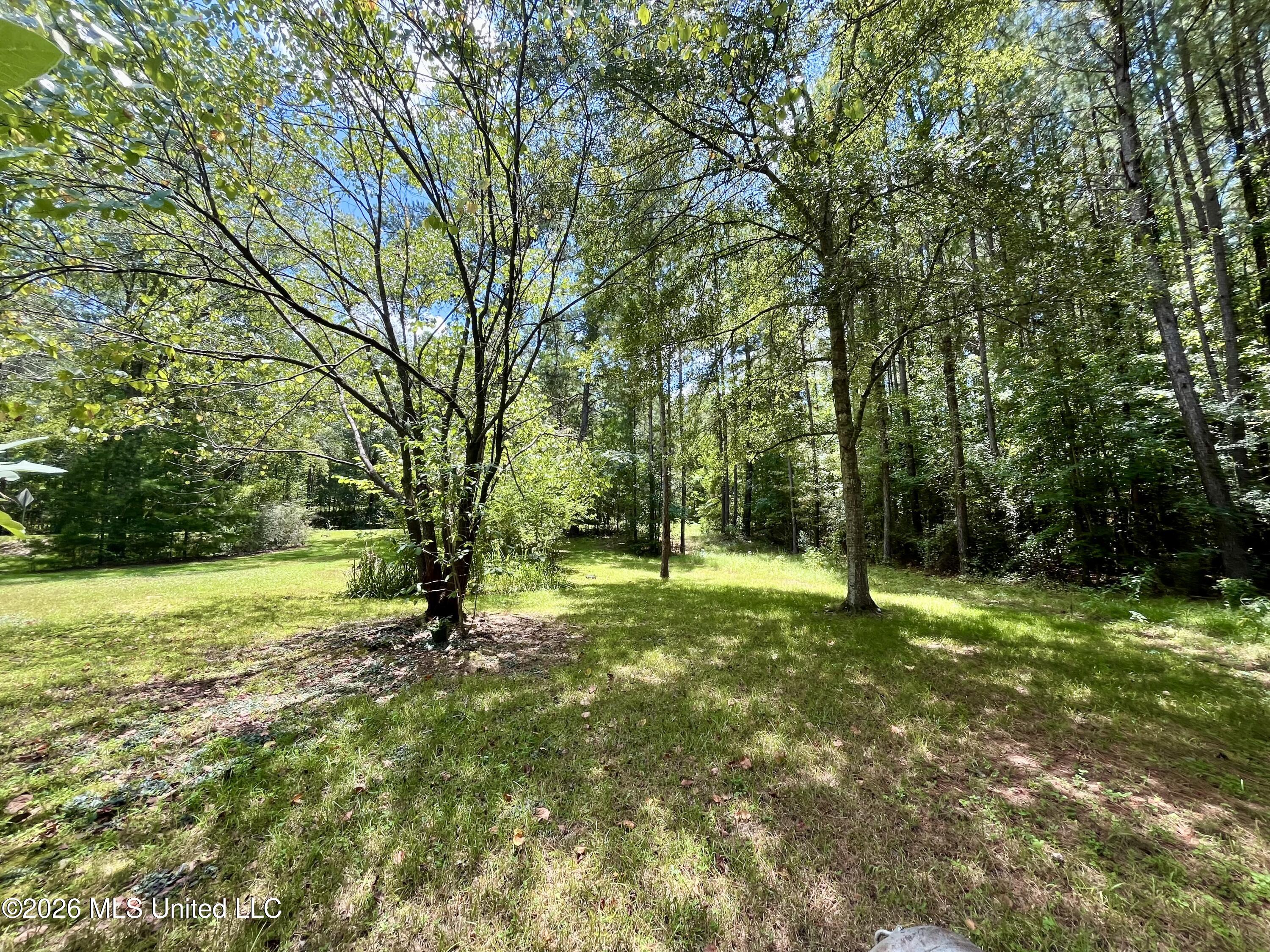 155 Dykes Chapel Road Property Photo 12