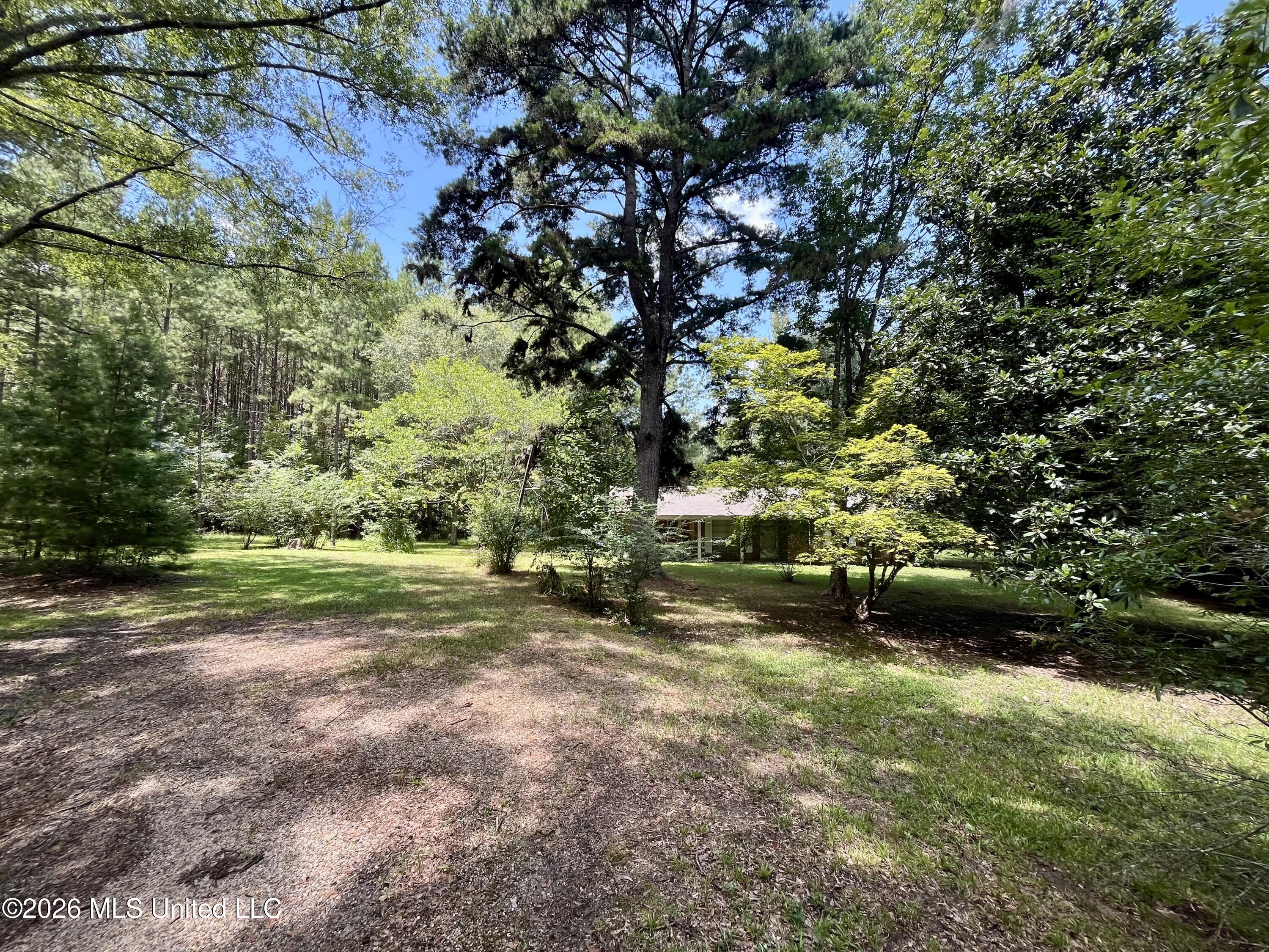 155 Dykes Chapel Road Property Photo 15