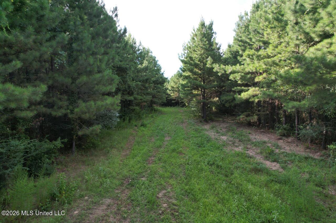 Old Oldenburg Road