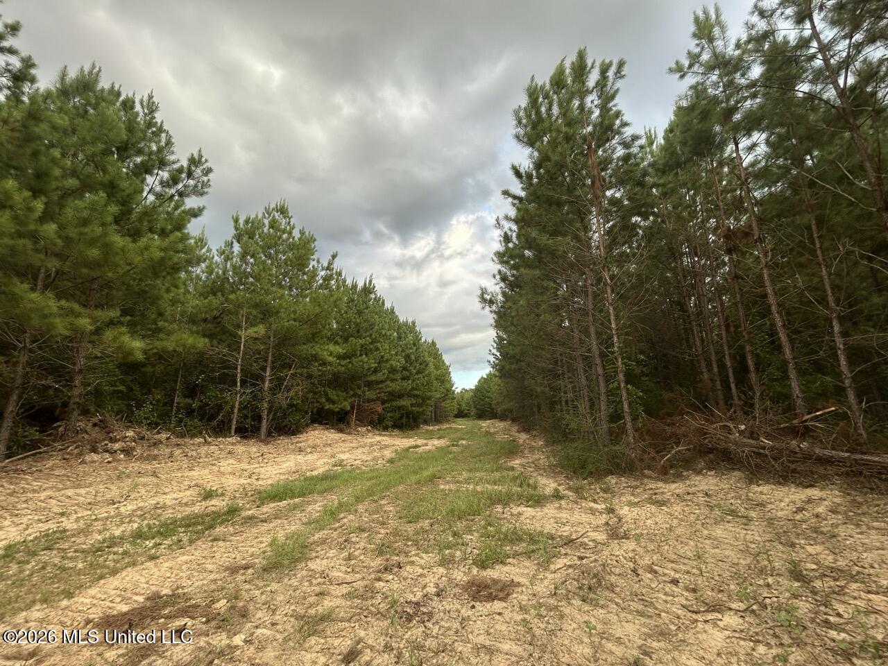 Old Oldenburg Road Property Photo 35
