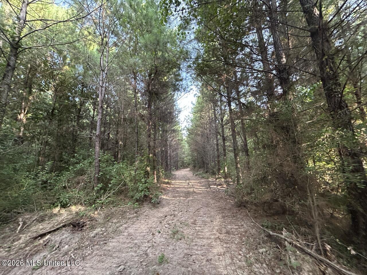 Old Oldenburg Road Property Photo 39