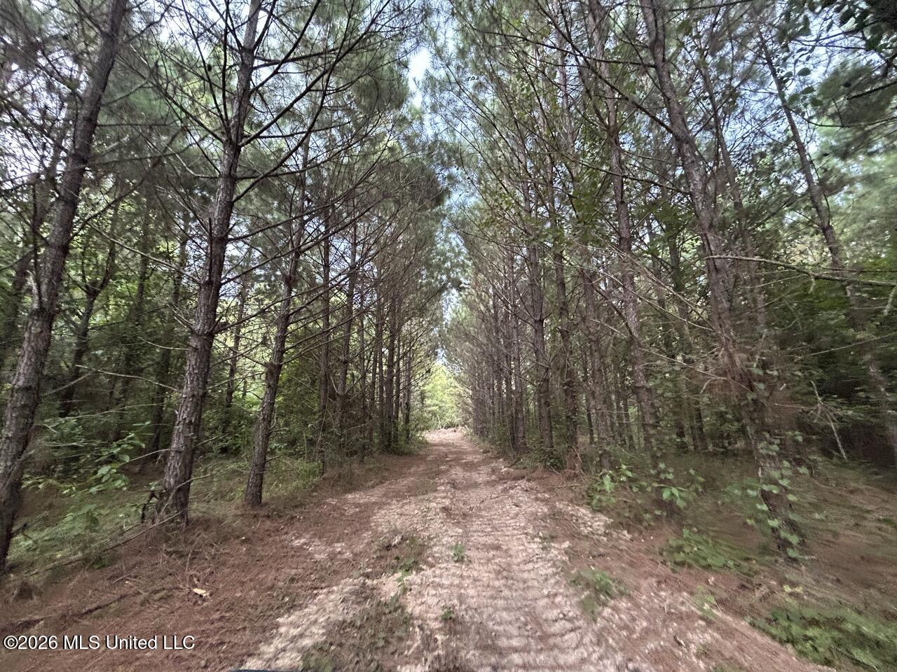Old Oldenburg Road Property Photo 40