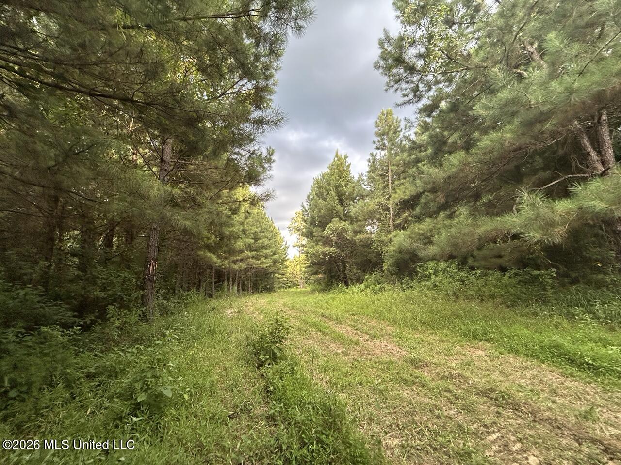 Old Oldenburg Road Property Photo 41