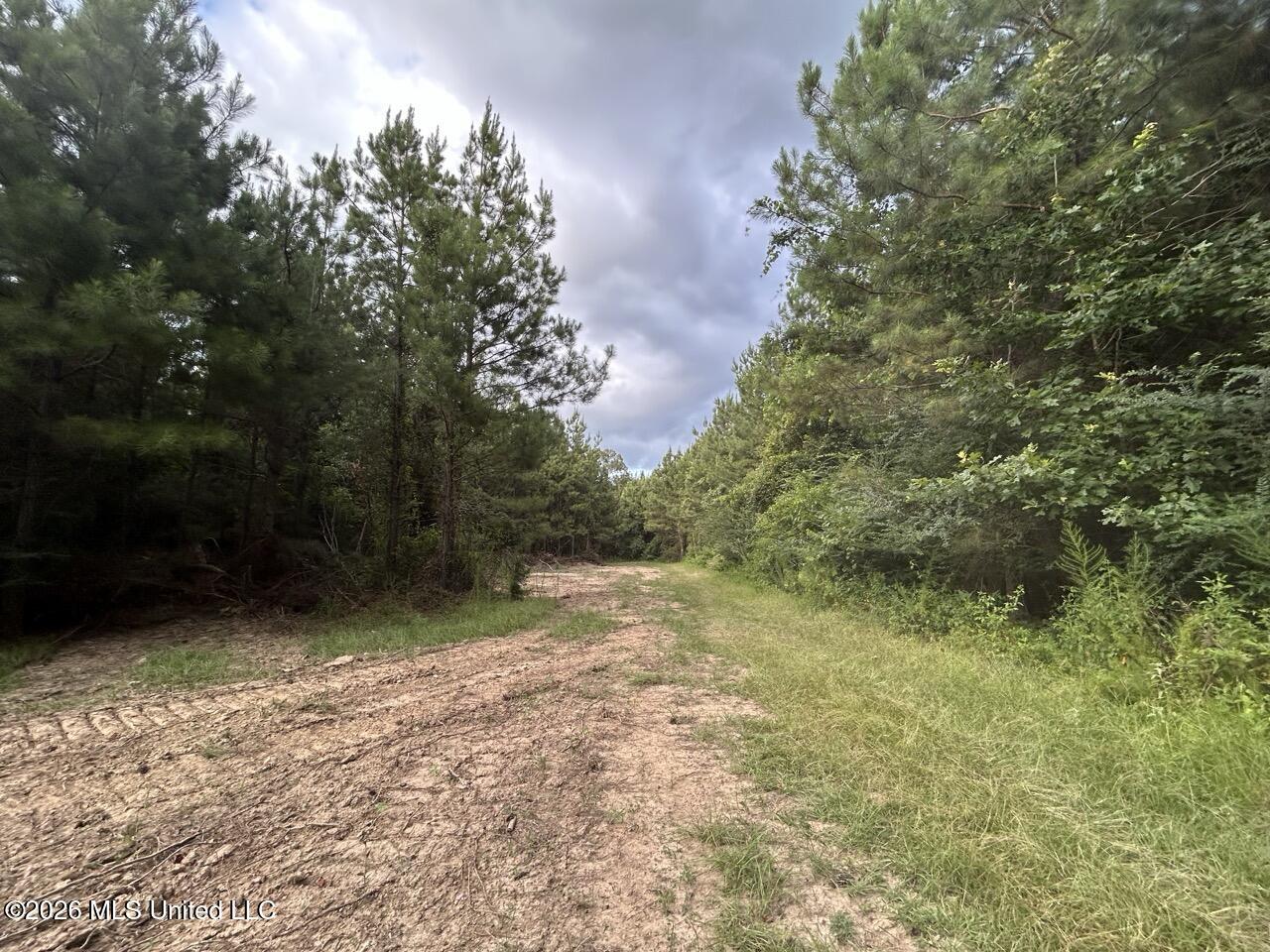 Old Oldenburg Road Property Photo 42