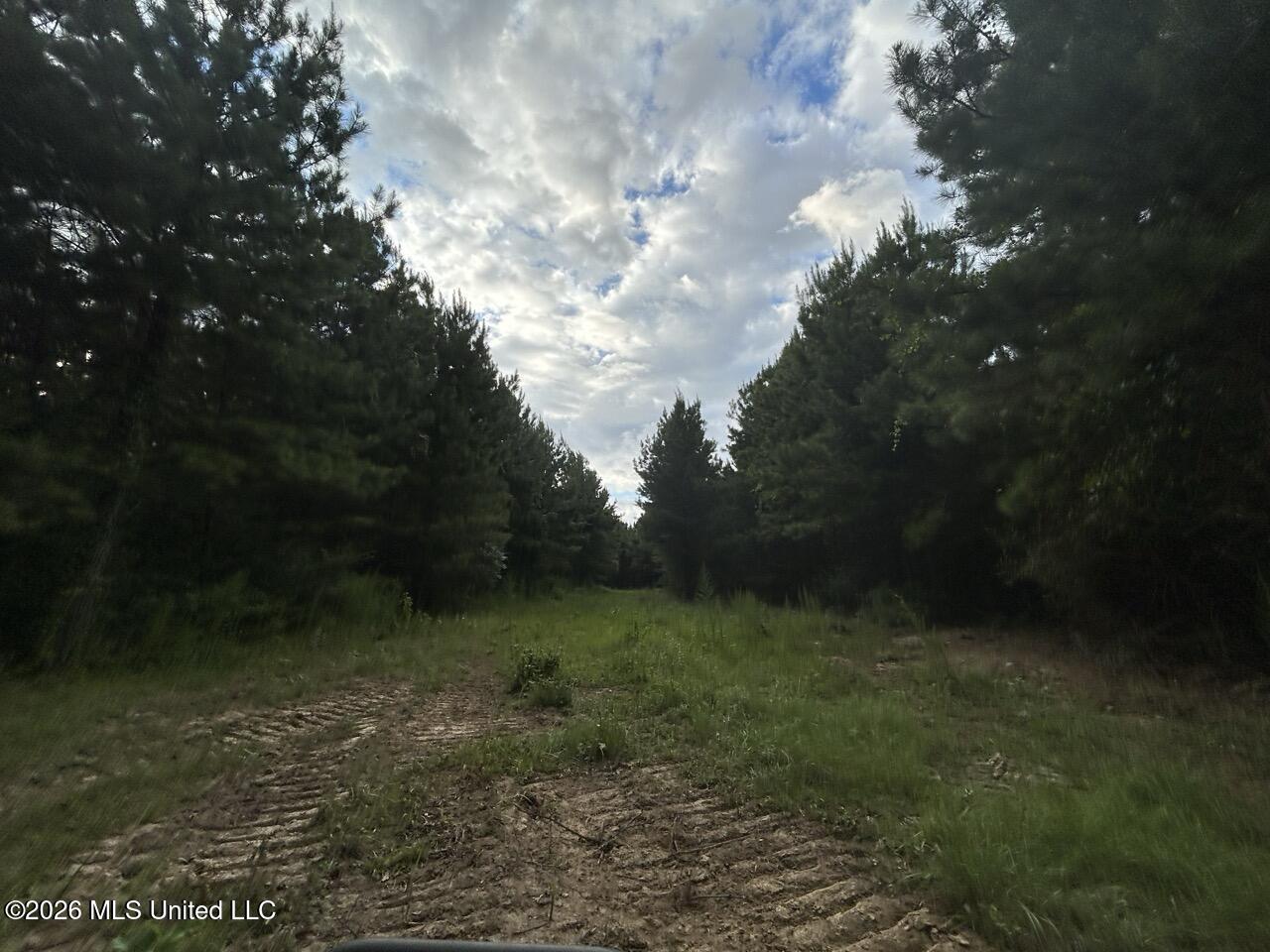 Old Oldenburg Road Property Photo 43