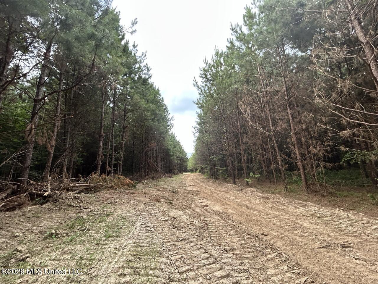Old Oldenburg Road Property Photo 47