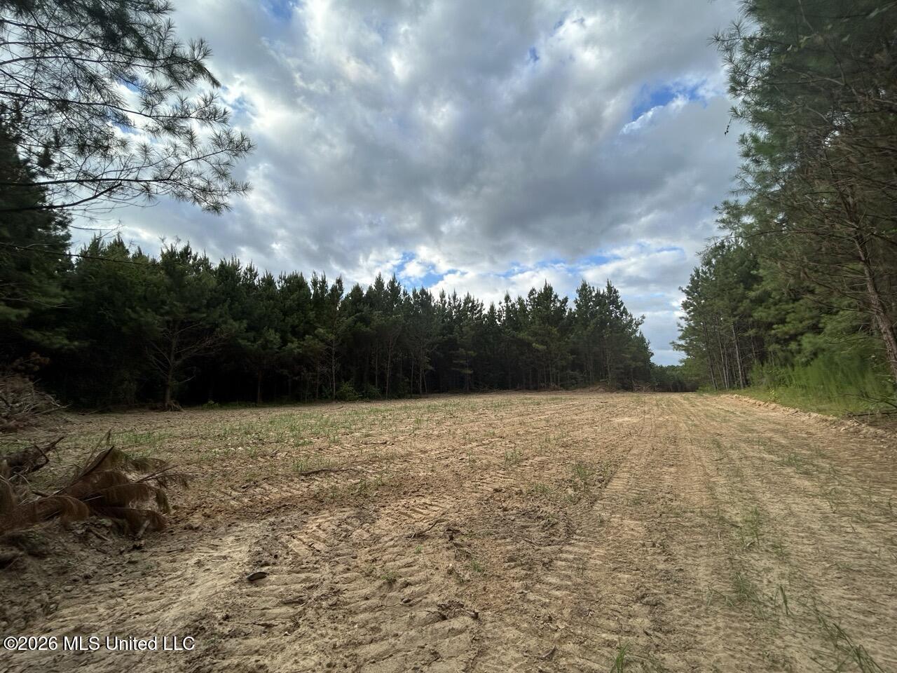 Old Oldenburg Road Property Photo 48