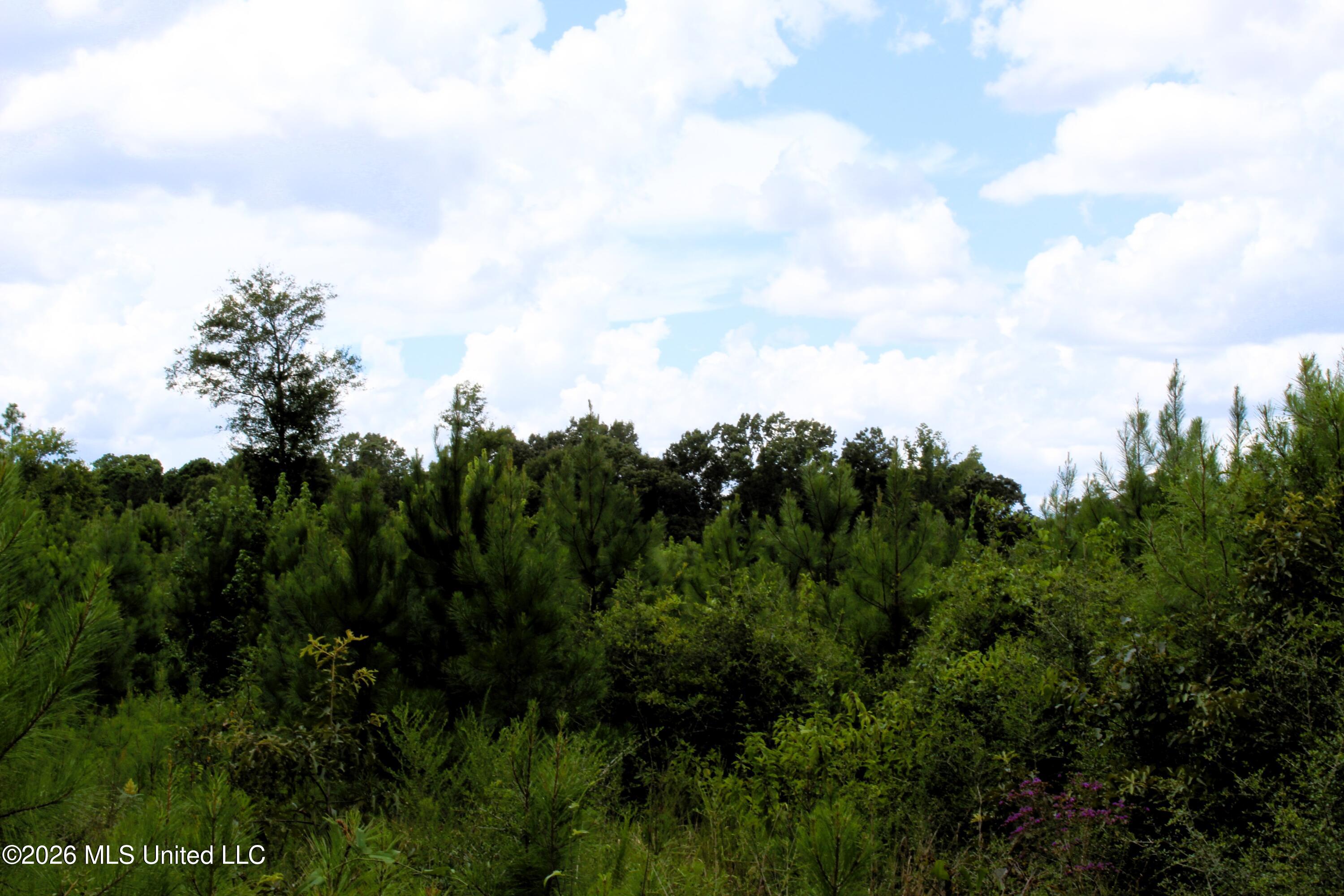 6.4 Acres Beaver Dam Road Property Photo 4