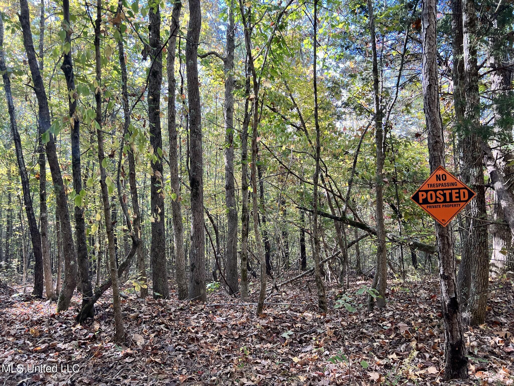 1975 Ms-178 Property Photo 69
