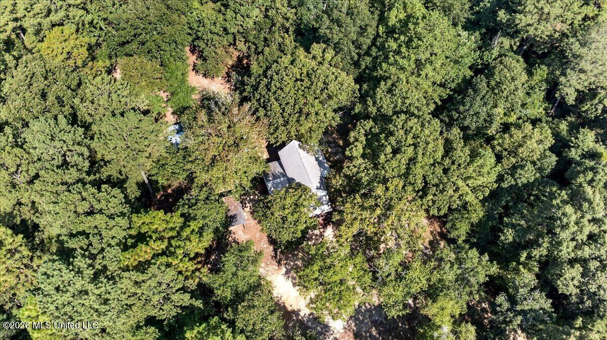 51 Piney Woods Lane Property Photo 33