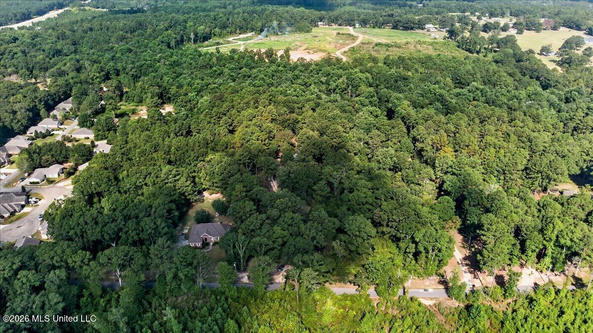 51 Piney Woods Lane Property Photo 35