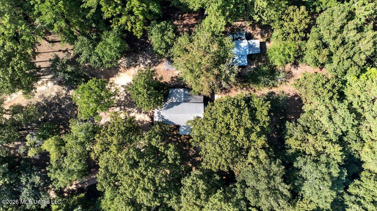 51 Piney Woods Lane Property Photo 37