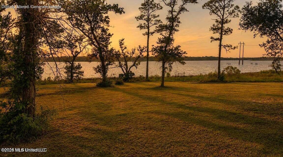 Savannah Estates Boulevard Property Photo 3