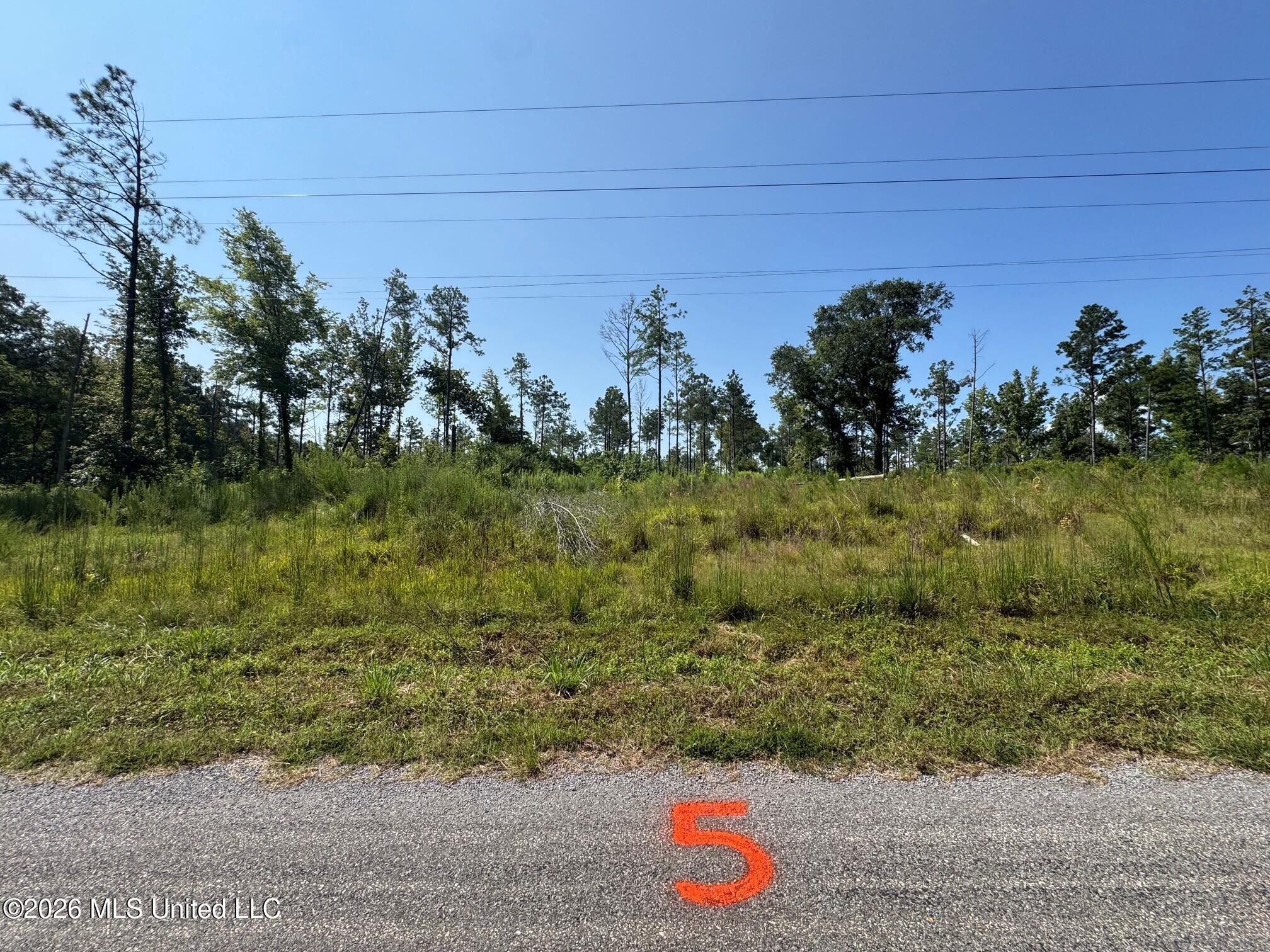 Lot 5 Mac Pate Road Property Photo 4