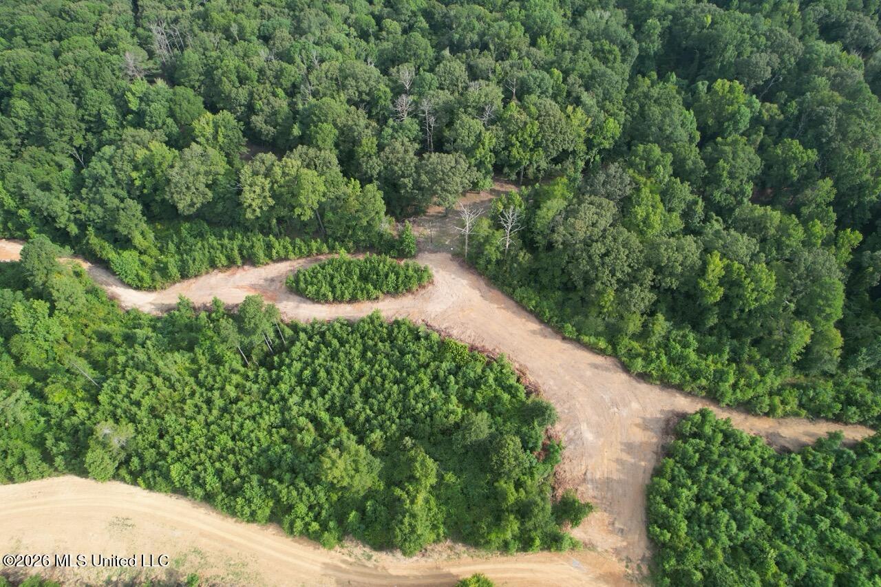 Old Oldenburg Road Property Photo 4