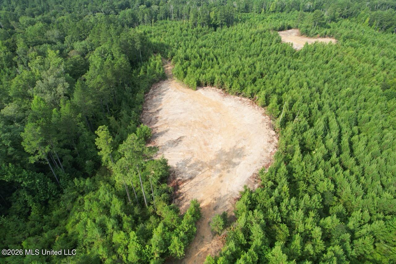 Old Oldenburg Road Property Photo 6