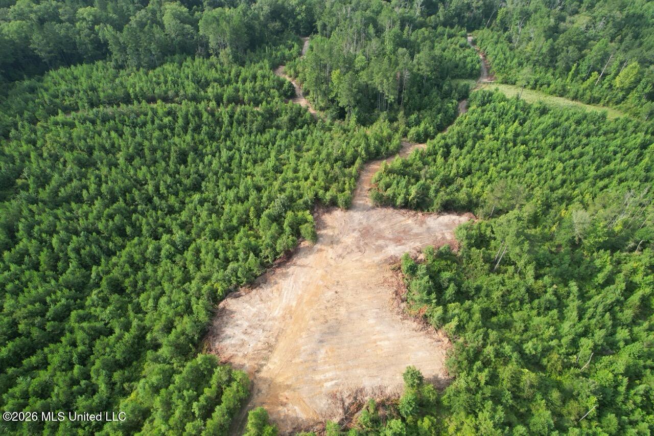 Old Oldenburg Road Property Photo 10