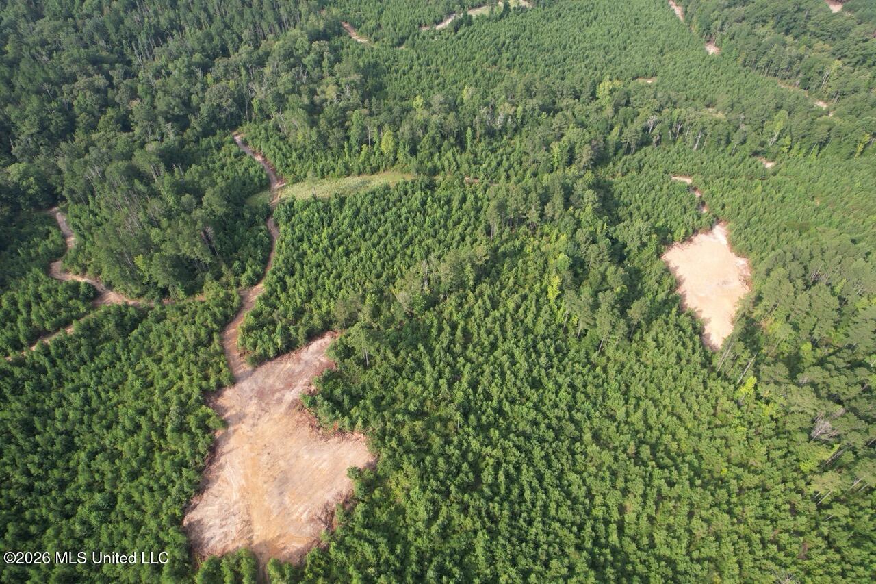 Old Oldenburg Road Property Photo 12
