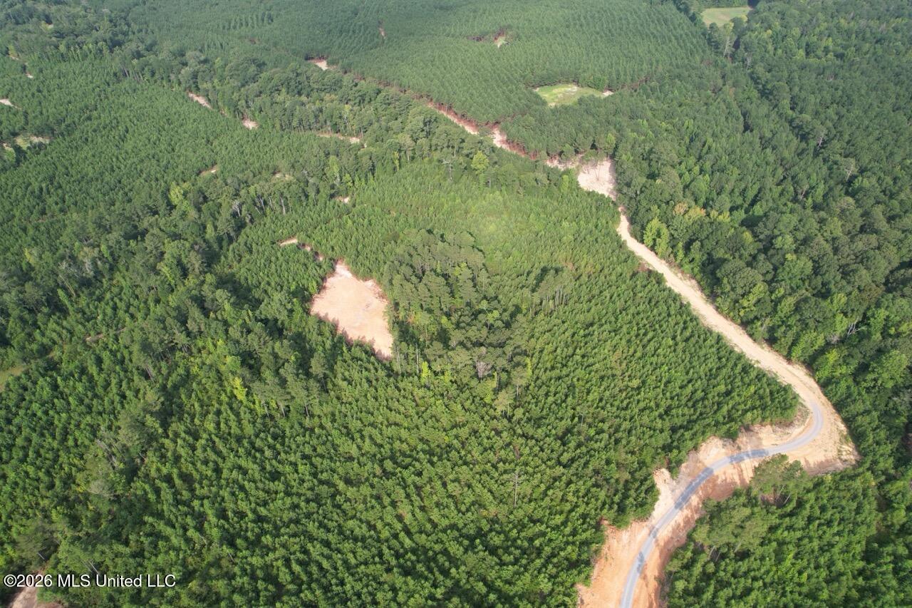 Old Oldenburg Road Property Photo 13