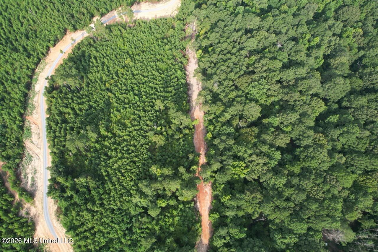 Old Oldenburg Road Property Photo 15