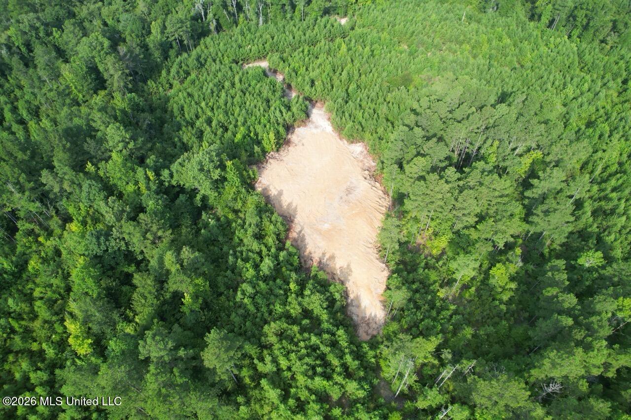 Old Oldenburg Road Property Photo 16
