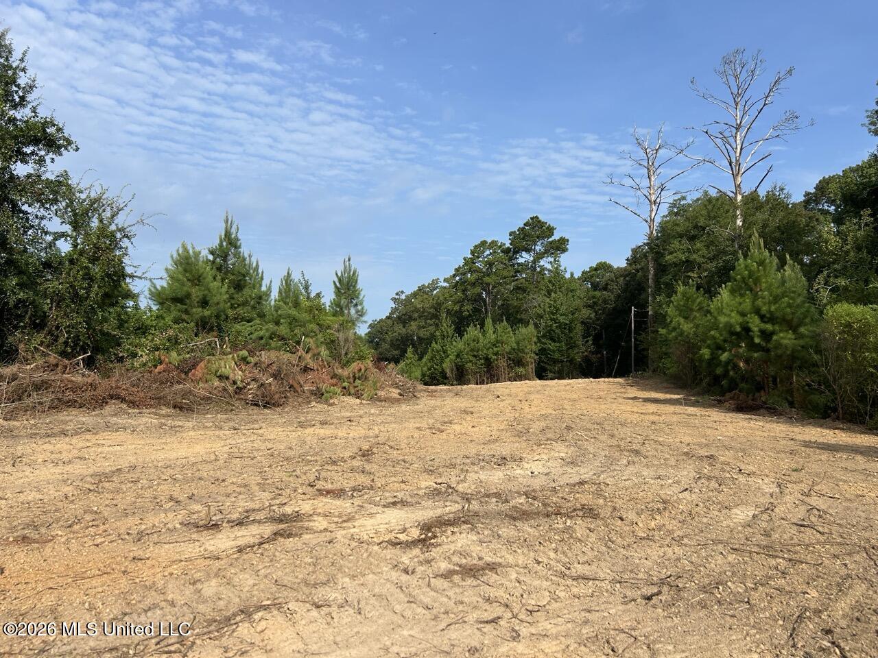 Old Oldenburg Road Property Photo 22