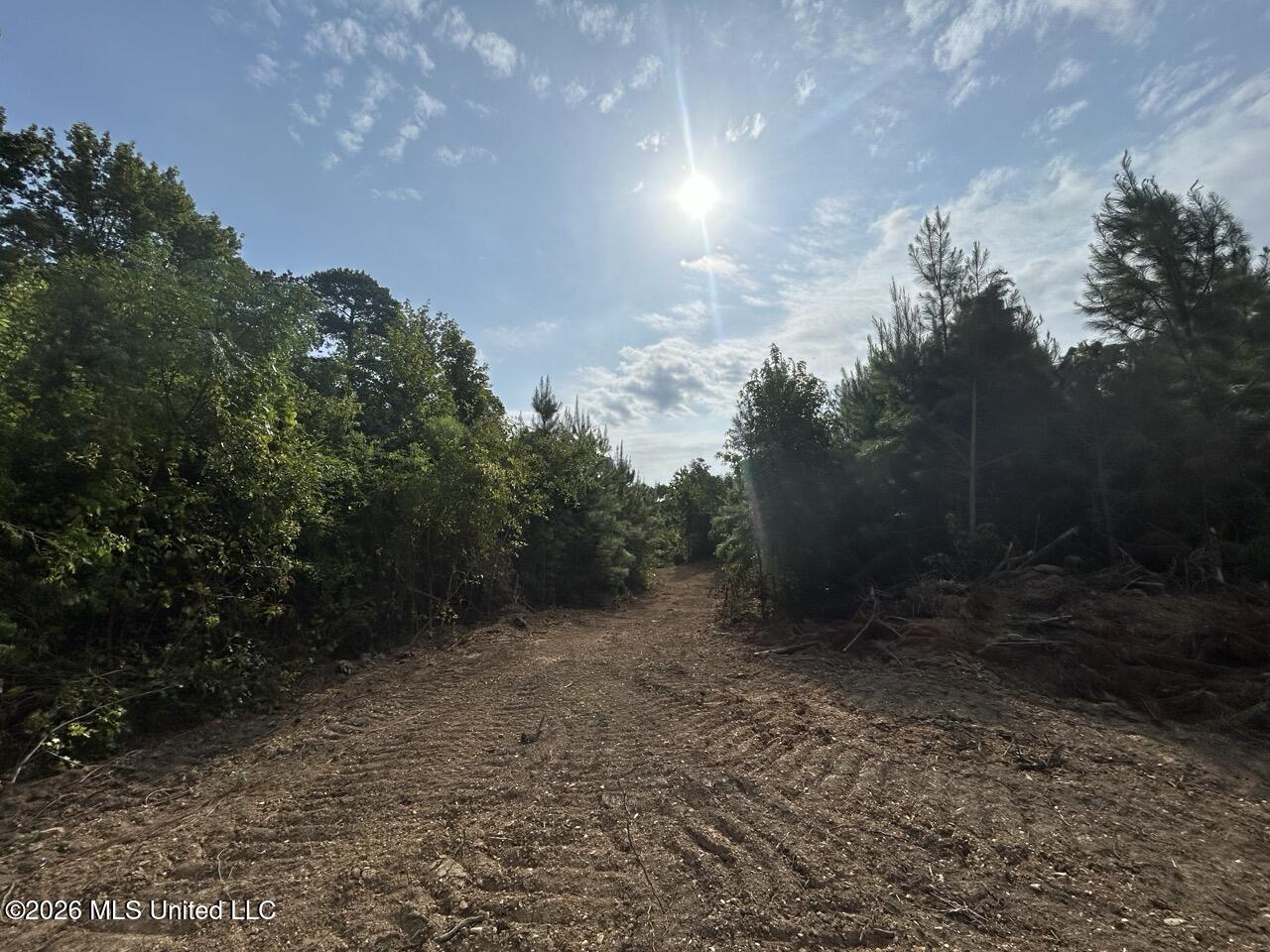 Old Oldenburg Road Property Photo 23