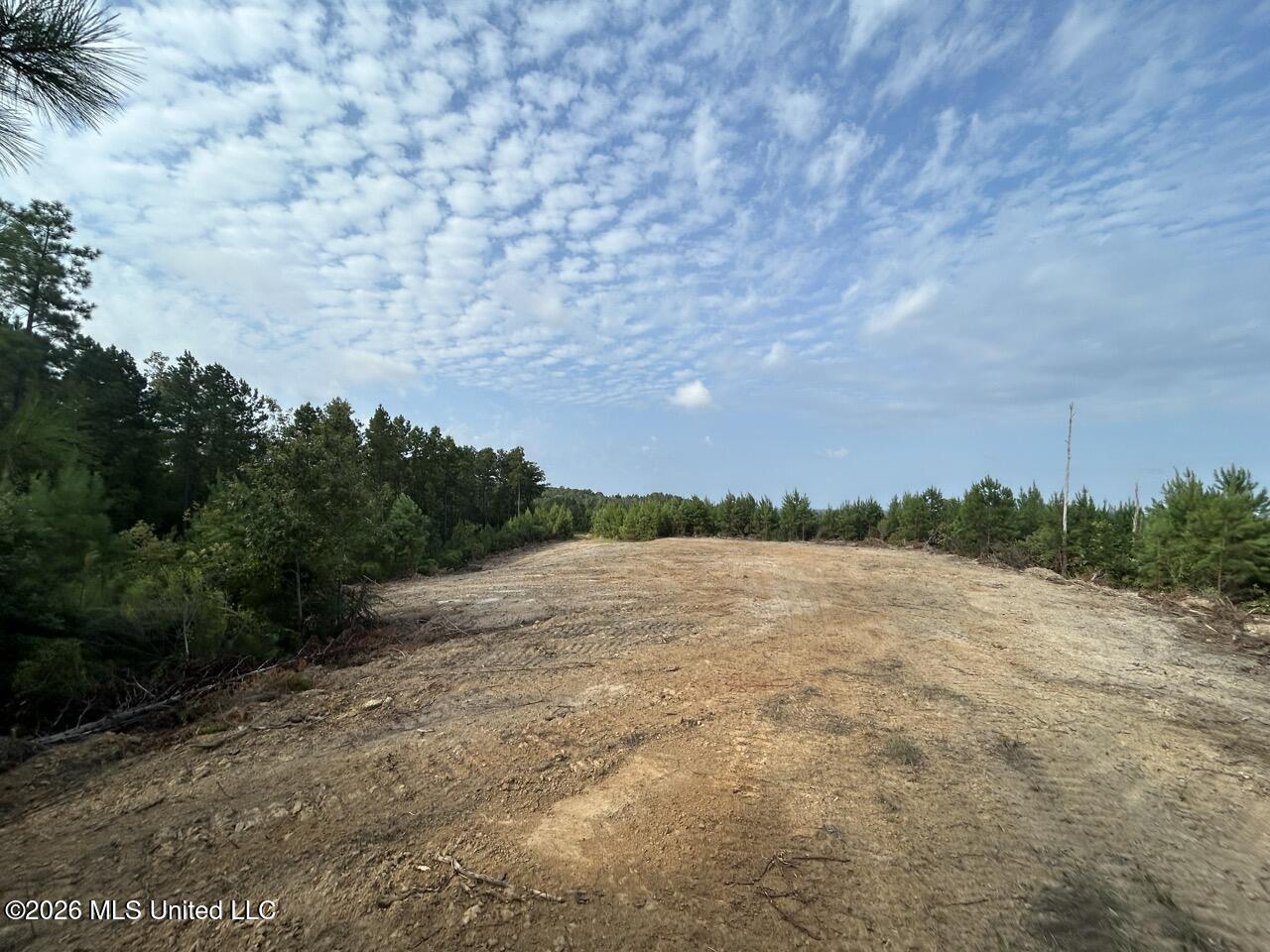 Old Oldenburg Road Property Photo 25