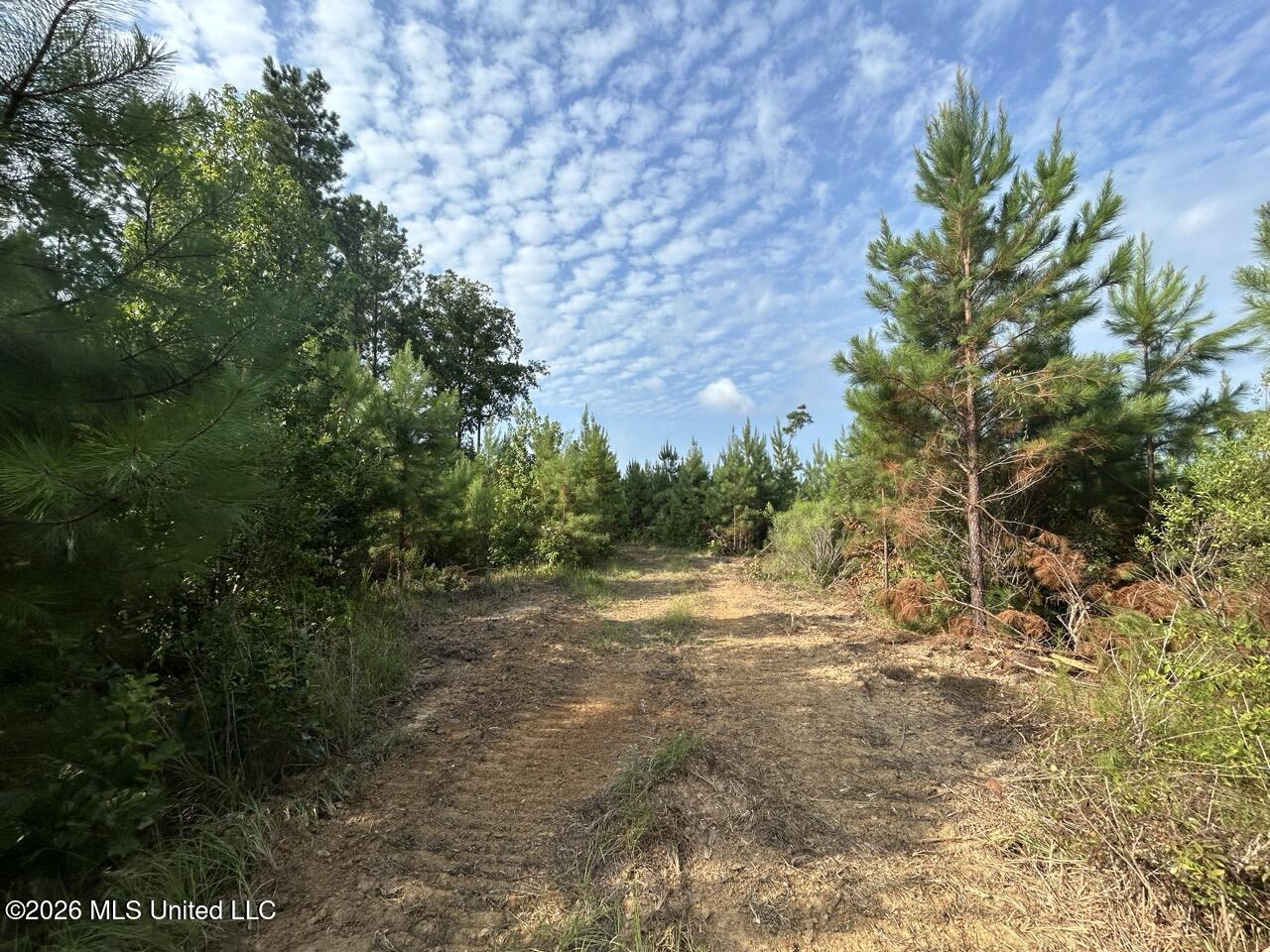 Old Oldenburg Road Property Photo 26