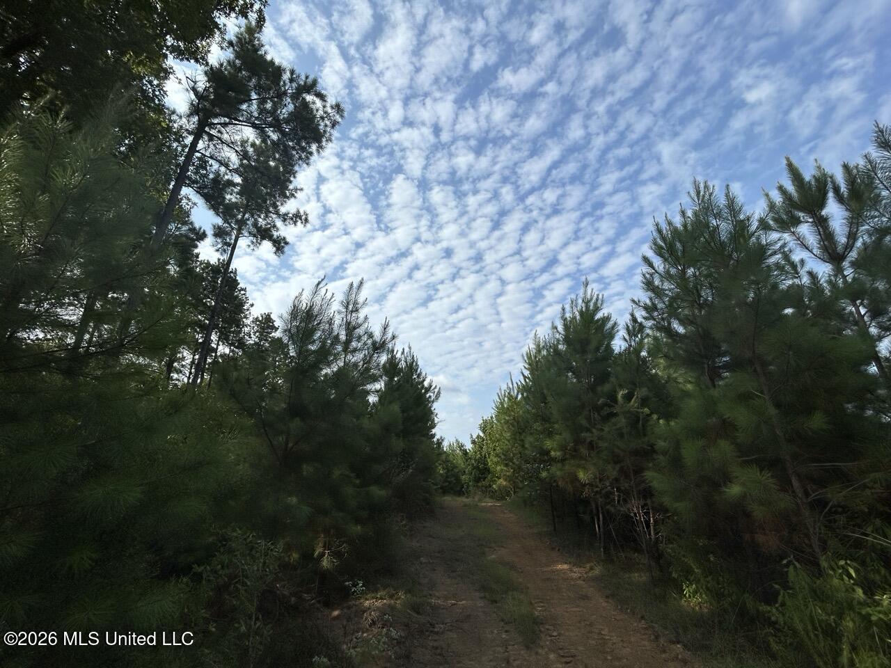 Old Oldenburg Road Property Photo 27