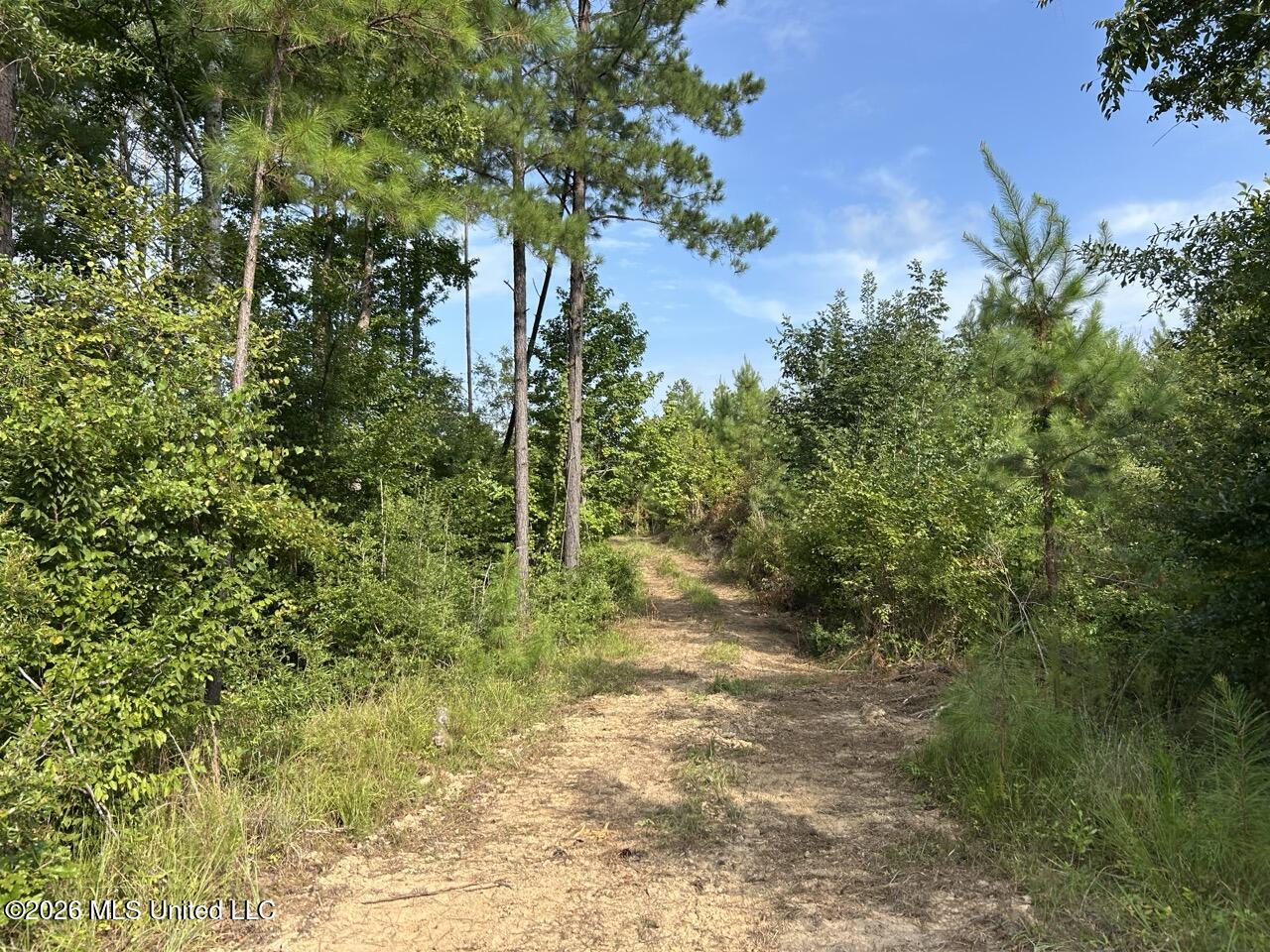 Old Oldenburg Road Property Photo 28