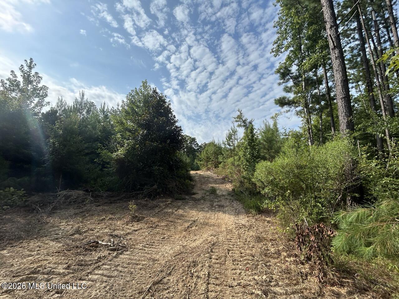 Old Oldenburg Road Property Photo 29
