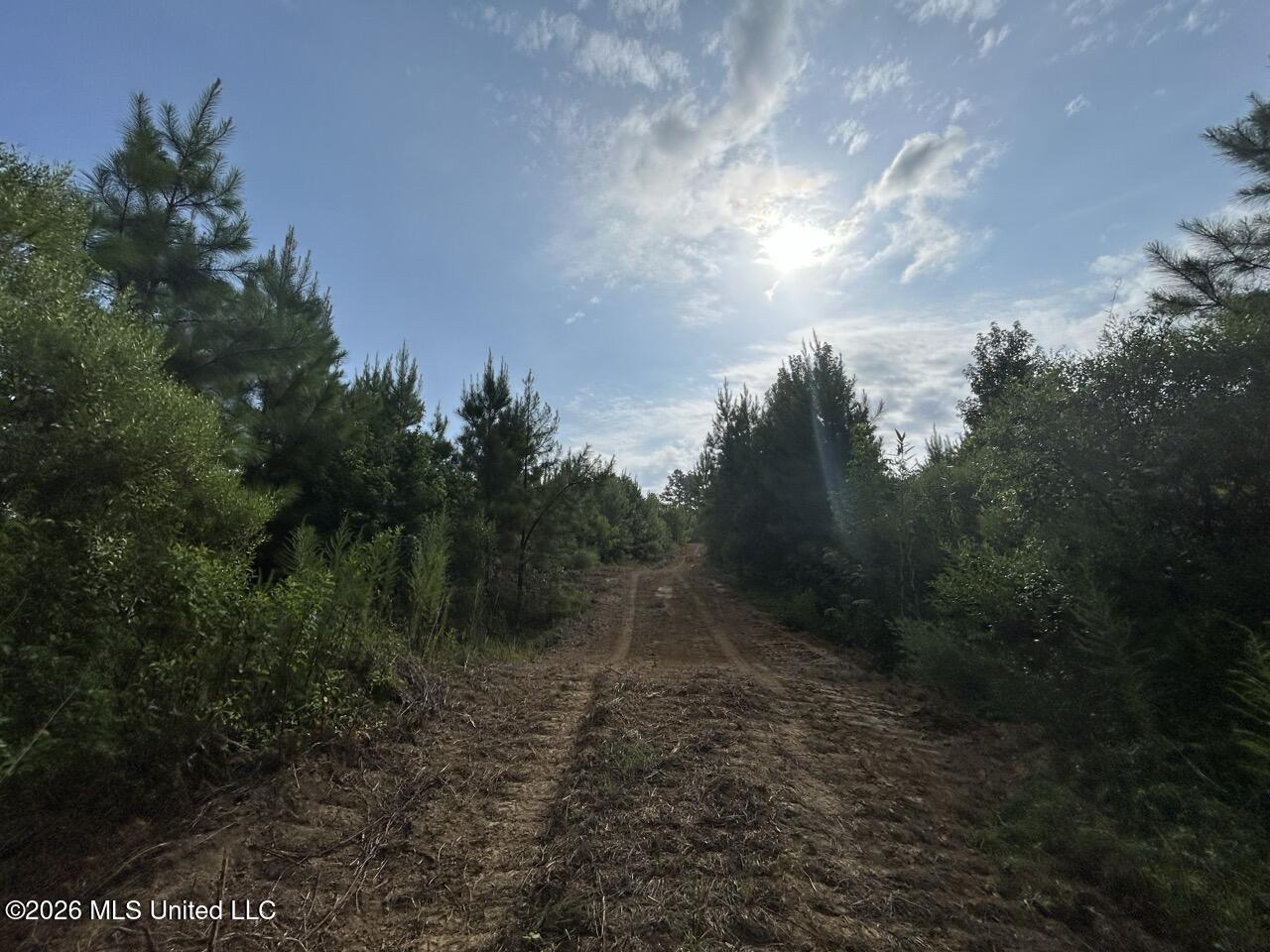 Old Oldenburg Road Property Photo 30