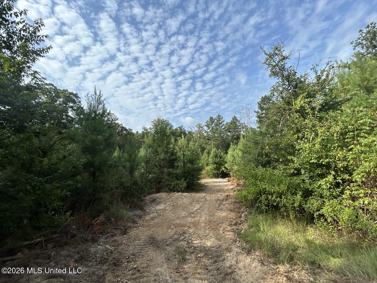 Old Oldenburg Road Property Photo 31