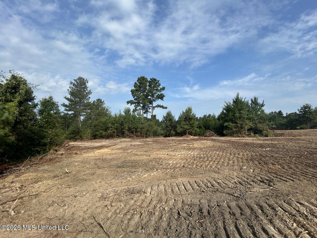 Old Oldenburg Road Property Photo 32