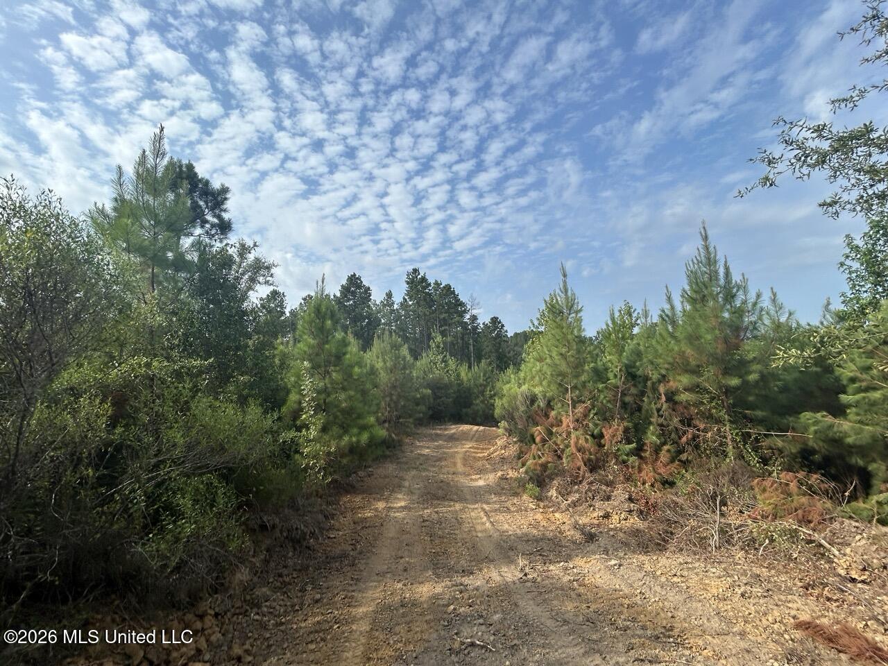 Old Oldenburg Road Property Photo 34