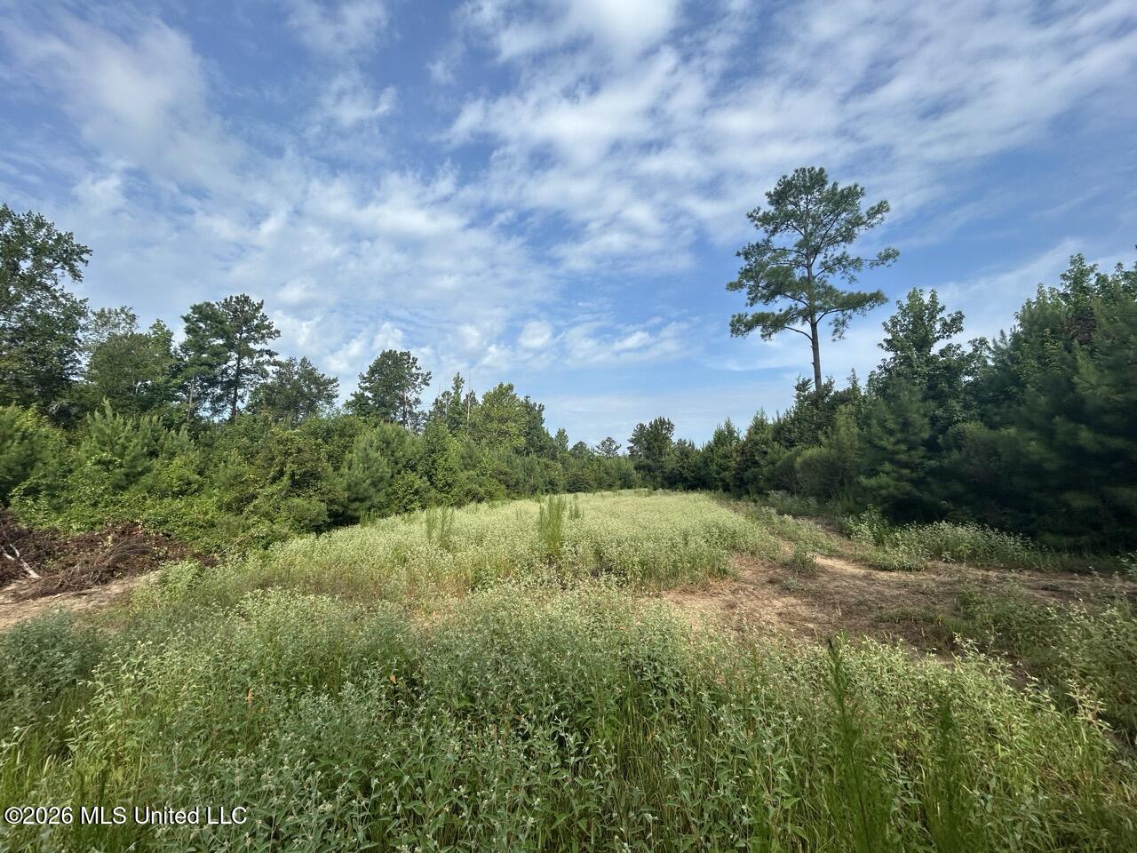 Old Oldenburg Road Property Photo 35