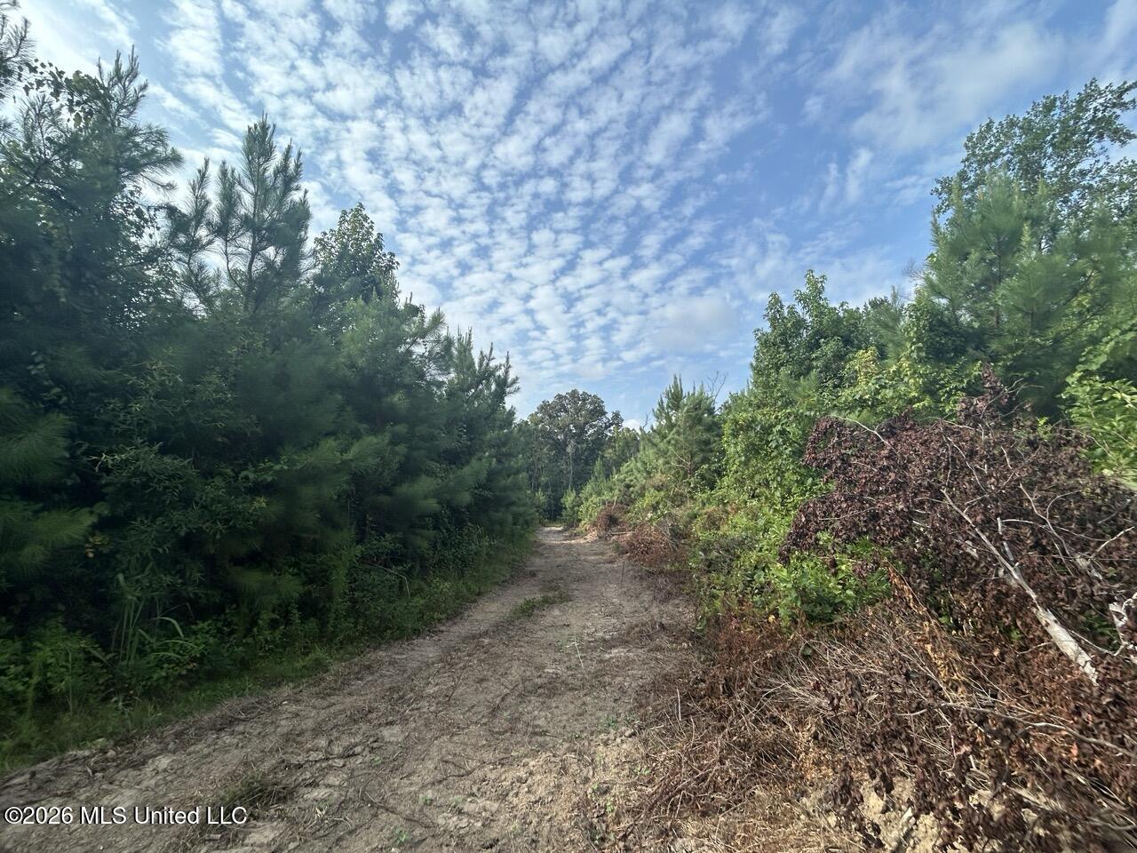 Old Oldenburg Road Property Photo 36