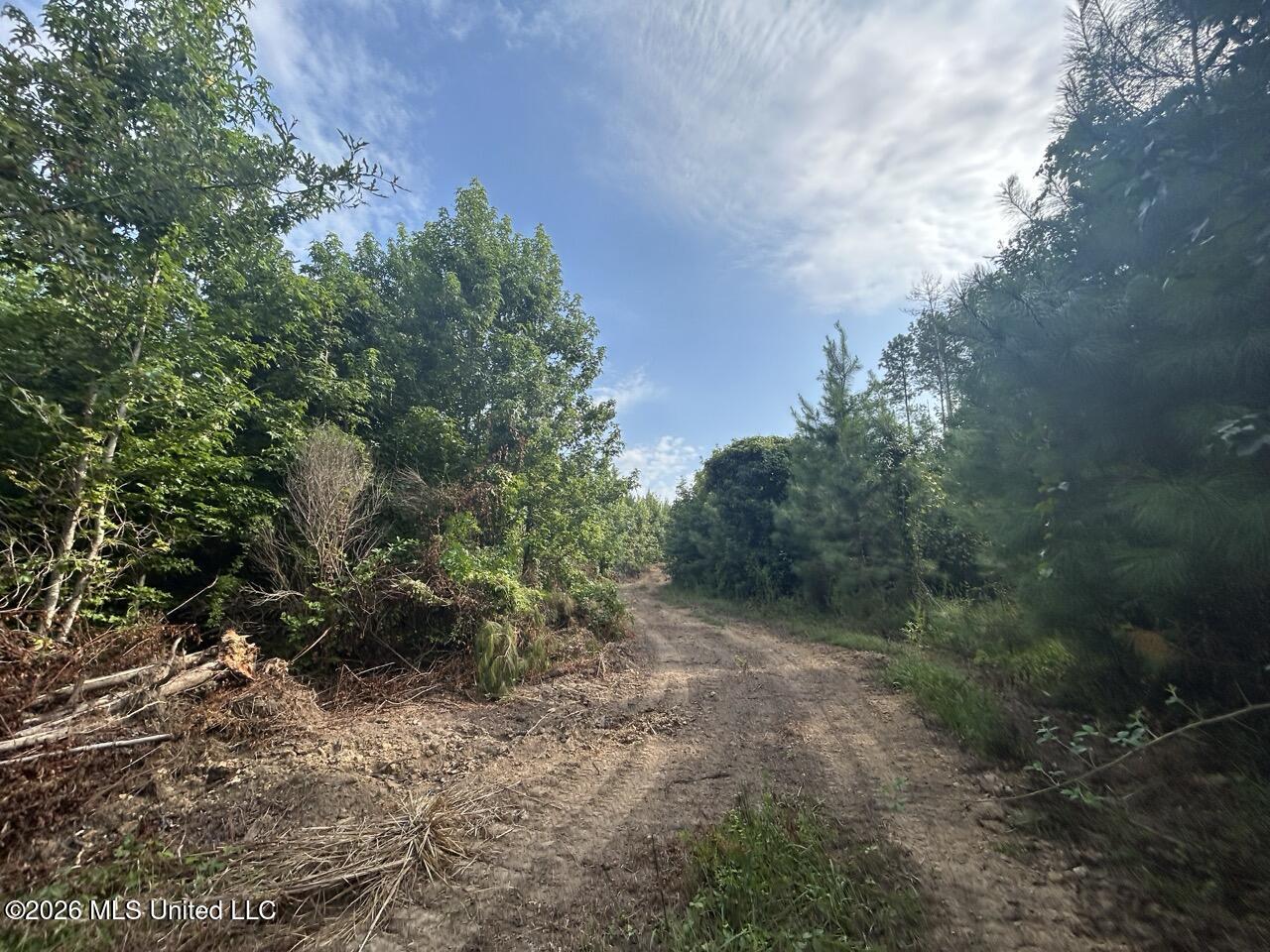 Old Oldenburg Road Property Photo 37