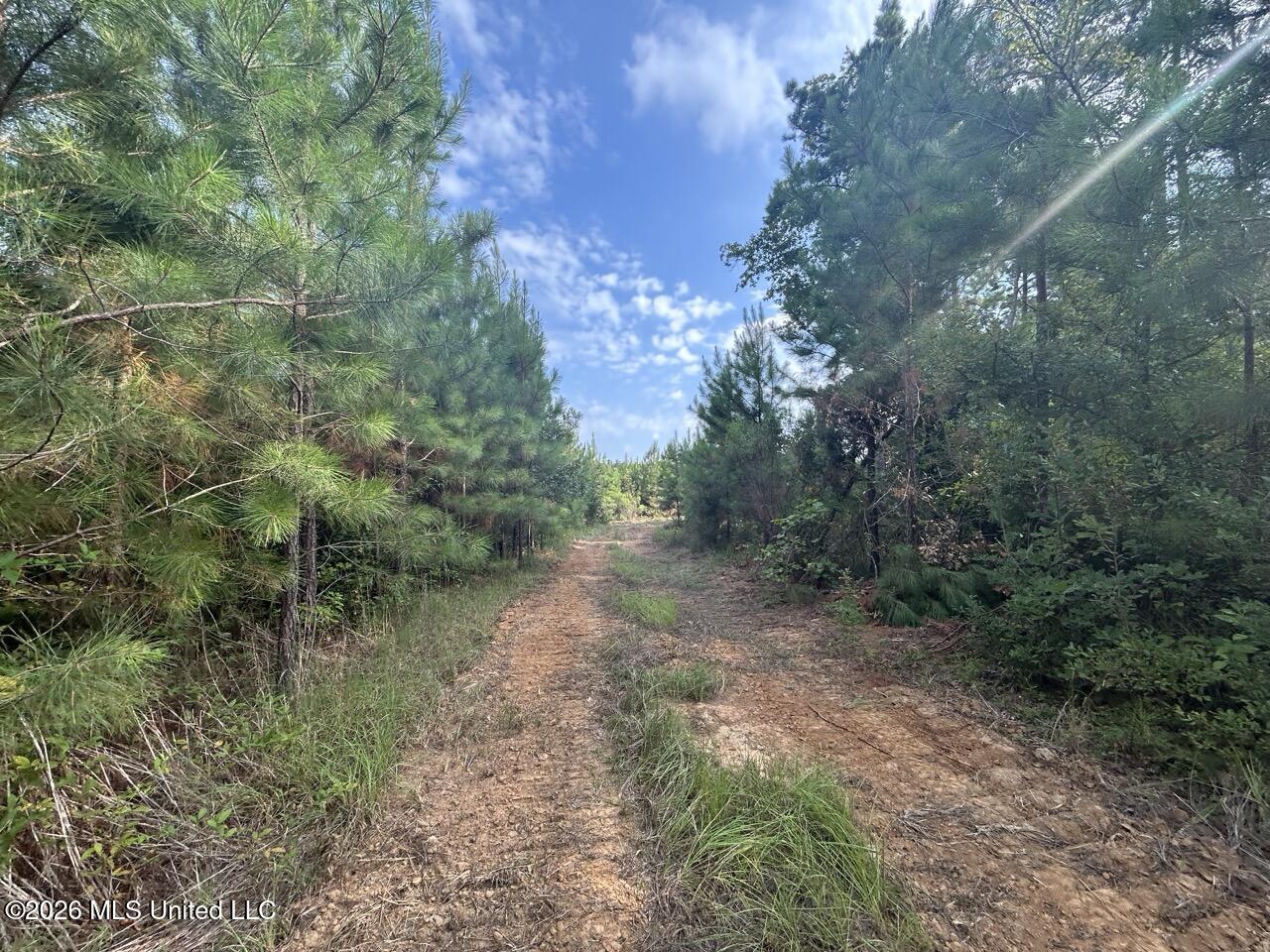 Old Oldenburg Road Property Photo 38