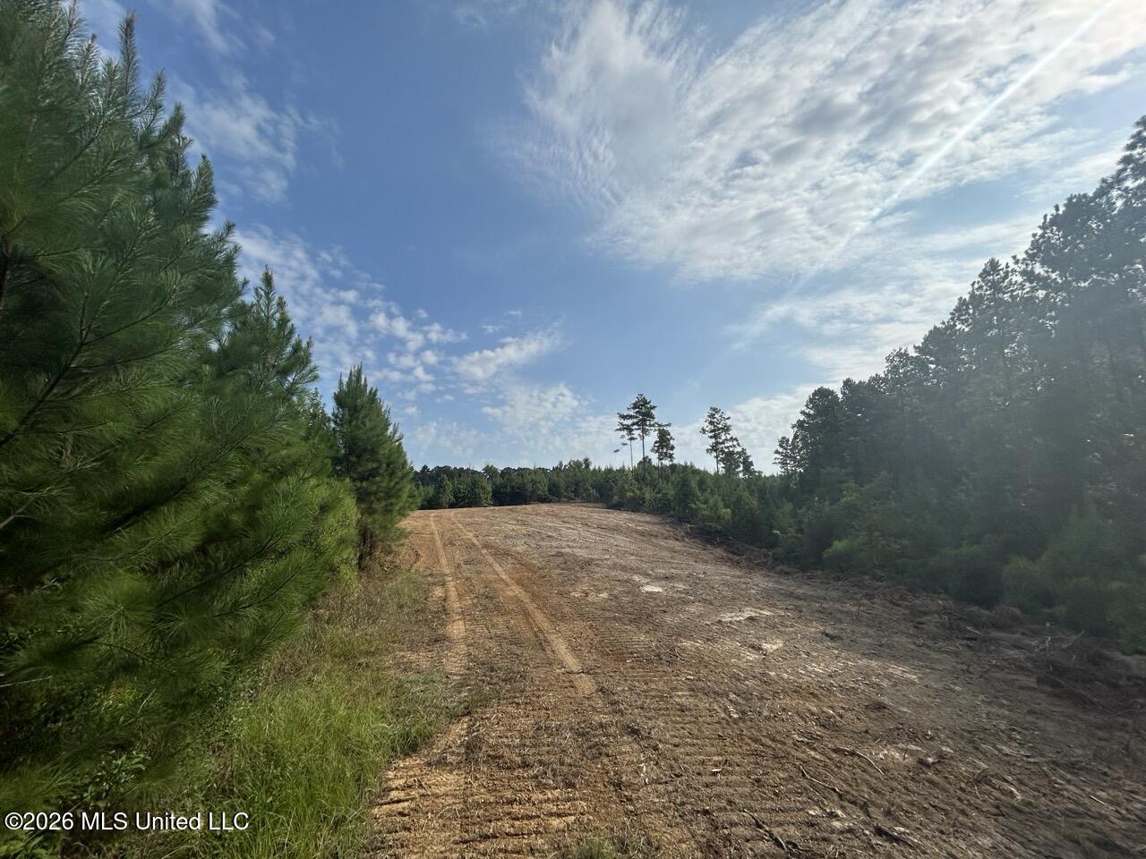 Old Oldenburg Road Property Photo 39