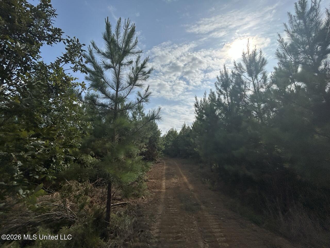 Old Oldenburg Road Property Photo 40