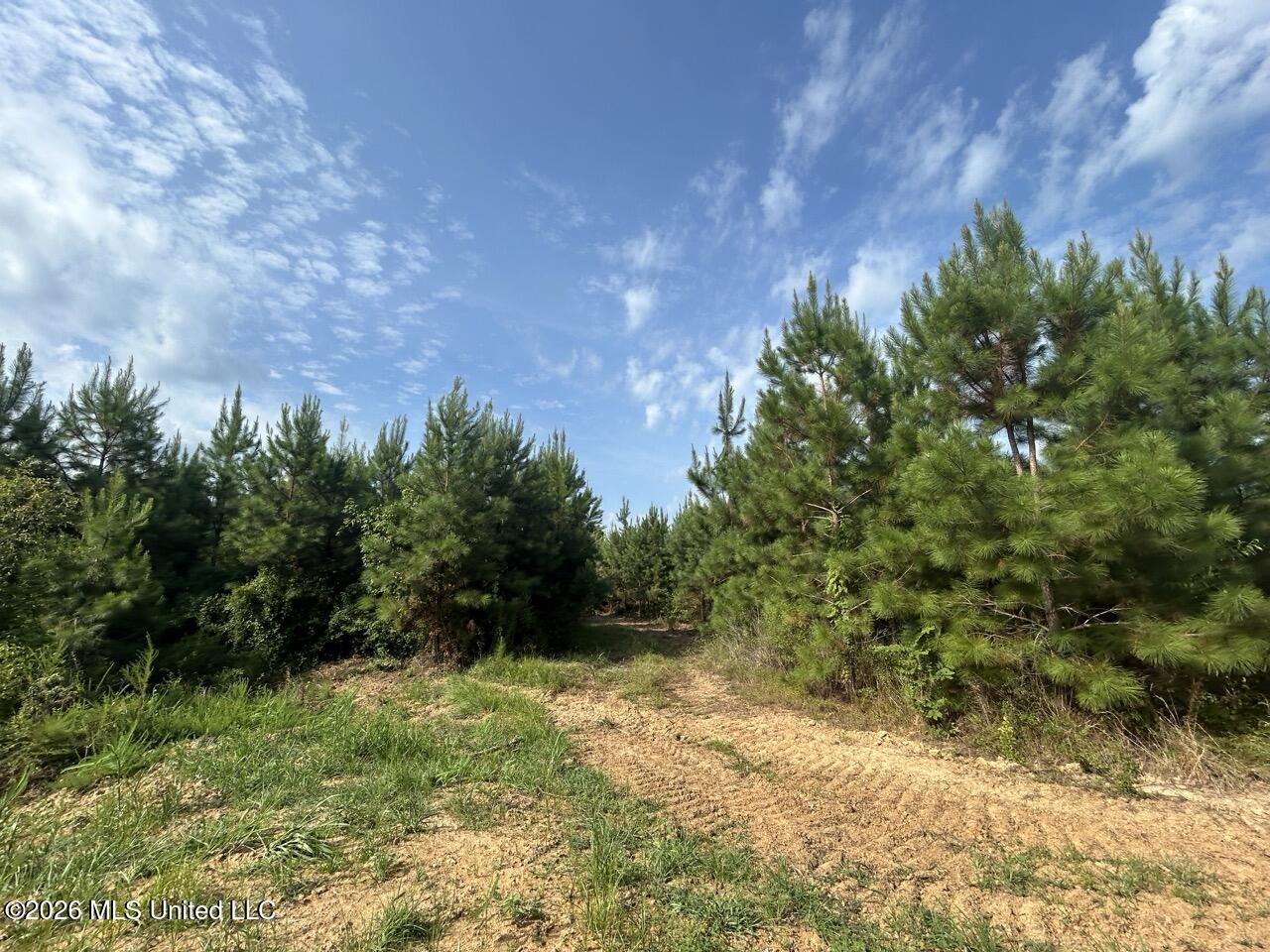 Old Oldenburg Road Property Photo 43