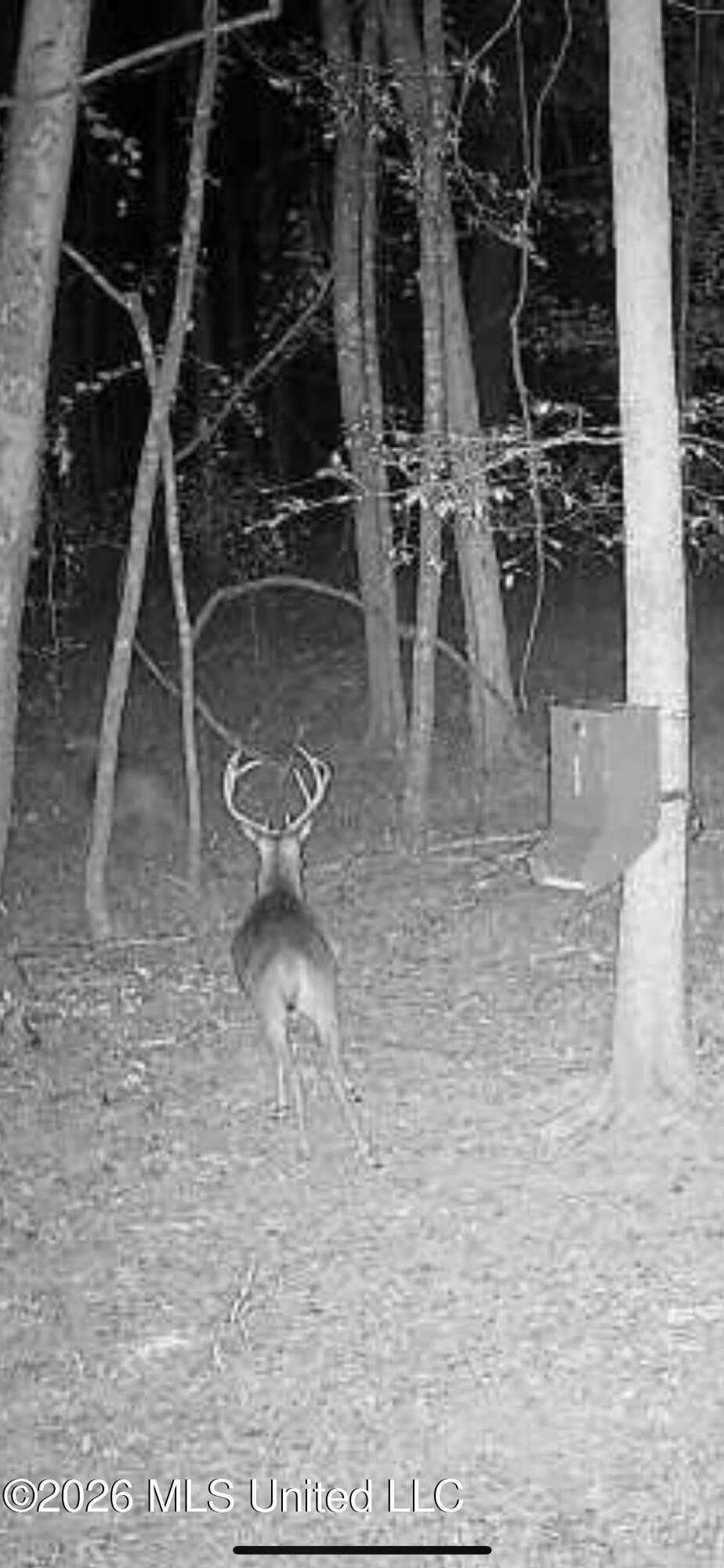 Old Oldenburg Road Property Photo 49