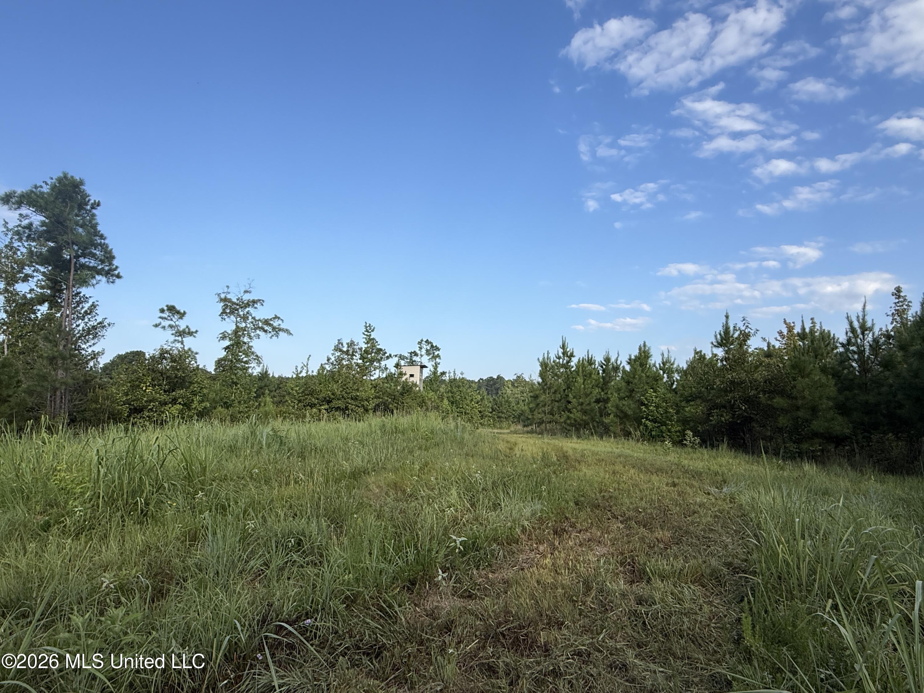 Co Rd 4102 Property Photo 1
