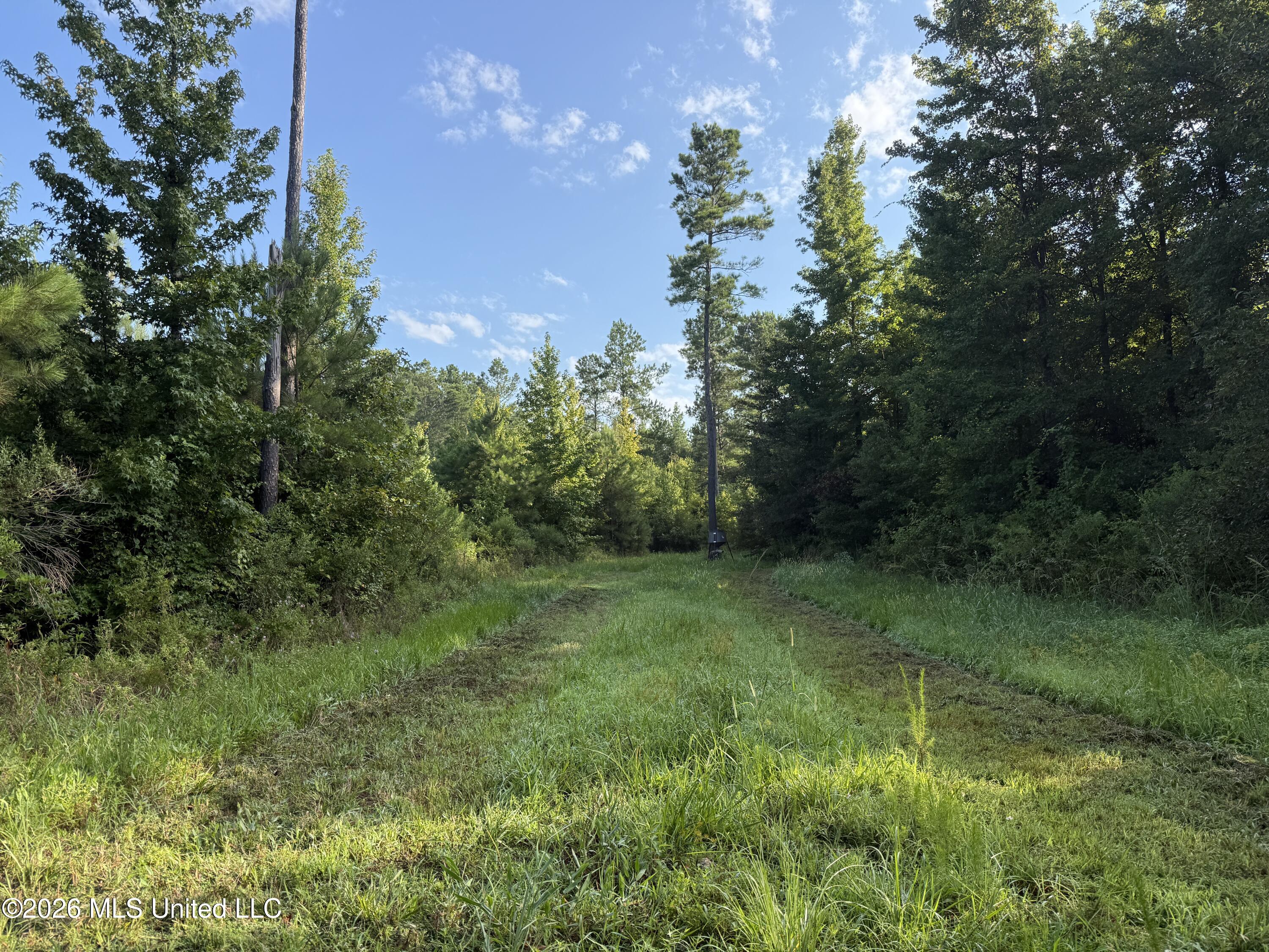Co Rd 4102 Property Photo 2